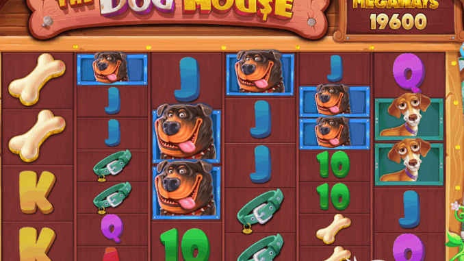The Dog House Megaways Hav Havlı Kazançlar
